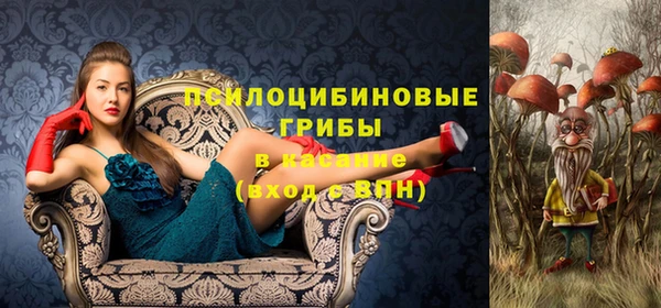 метадон Абинск
