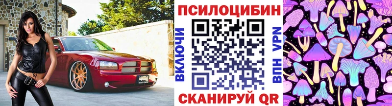 Галлюциногенные грибы Psilocybe  продажа наркотиков  Александров 
